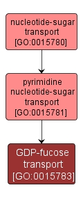 GO:0015783 - GDP-fucose transport (interactive image map)