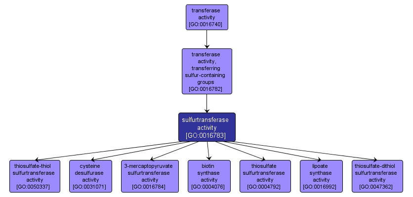 GO:0016783 - sulfurtransferase activity (interactive image map)
