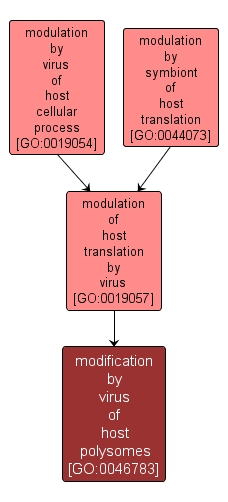 GO:0046783 - modification by virus of host polysomes (interactive image map)