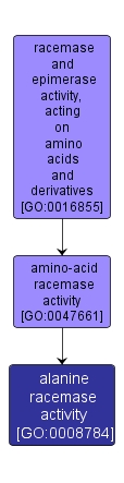 GO:0008784 - alanine racemase activity (interactive image map)