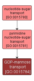 GO:0015784 - GDP-mannose transport (interactive image map)