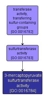 GO:0016784 - 3-mercaptopyruvate sulfurtransferase activity (interactive image map)