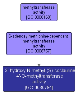 GO:0030784 - 3'-hydroxy-N-methyl-(S)-coclaurine 4'-O-methyltransferase activity (interactive image map)