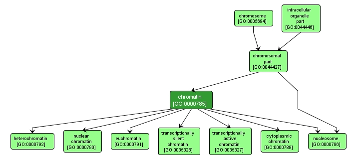 GO:0000785 - chromatin (interactive image map)