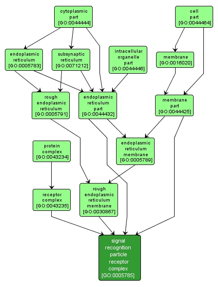 GO:0005785 - signal recognition particle receptor complex (interactive image map)