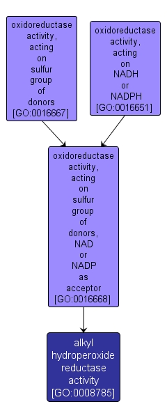 GO:0008785 - alkyl hydroperoxide reductase activity (interactive image map)