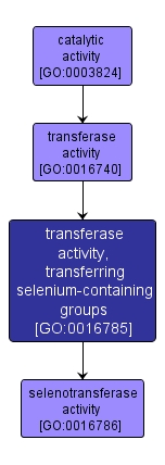 GO:0016785 - transferase activity, transferring selenium-containing groups (interactive image map)