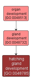 GO:0048785 - hatching gland development (interactive image map)