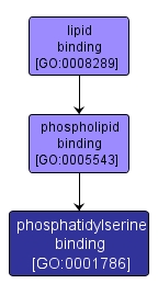 GO:0001786 - phosphatidylserine binding (interactive image map)