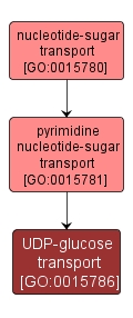 GO:0015786 - UDP-glucose transport (interactive image map)