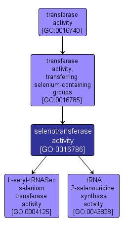 GO:0016786 - selenotransferase activity (interactive image map)