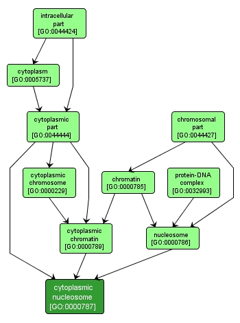 GO:0000787 - cytoplasmic nucleosome (interactive image map)