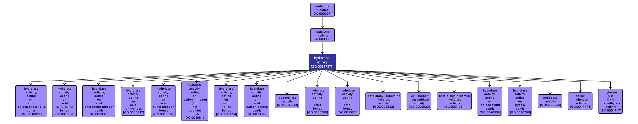 GO:0016787 - hydrolase activity (interactive image map)