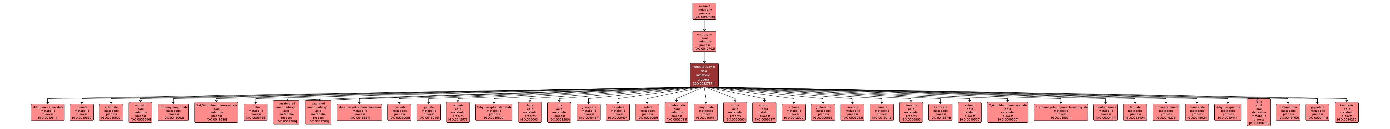 GO:0032787 - monocarboxylic acid metabolic process (interactive image map)