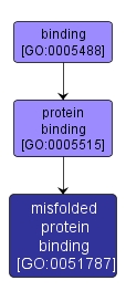GO:0051787 - misfolded protein binding (interactive image map)
