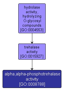 GO:0008788 - alpha,alpha-phosphotrehalase activity (interactive image map)