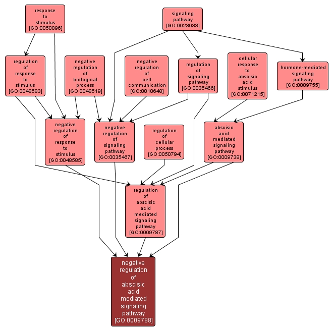 GO:0009788 - negative regulation of abscisic acid mediated signaling pathway (interactive image map)