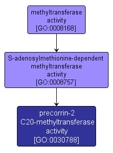 GO:0030788 - precorrin-2 C20-methyltransferase activity (interactive image map)