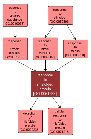 GO:0051788 - response to misfolded protein (interactive image map)