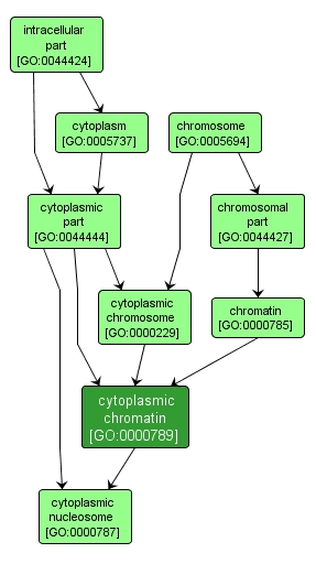 GO:0000789 - cytoplasmic chromatin (interactive image map)