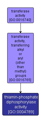 GO:0004789 - thiamin-phosphate diphosphorylase activity (interactive image map)