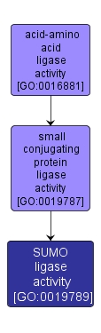 GO:0019789 - SUMO ligase activity (interactive image map)