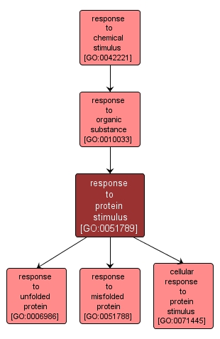 GO:0051789 - response to protein stimulus (interactive image map)