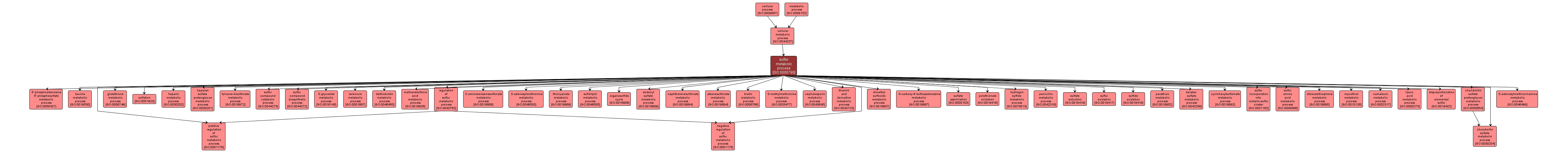 GO:0006790 - sulfur metabolic process (interactive image map)