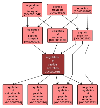 GO:0002791 - regulation of peptide secretion (interactive image map)