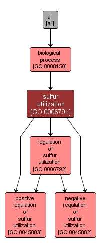 GO:0006791 - sulfur utilization (interactive image map)