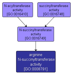 GO:0008791 - arginine N-succinyltransferase activity (interactive image map)