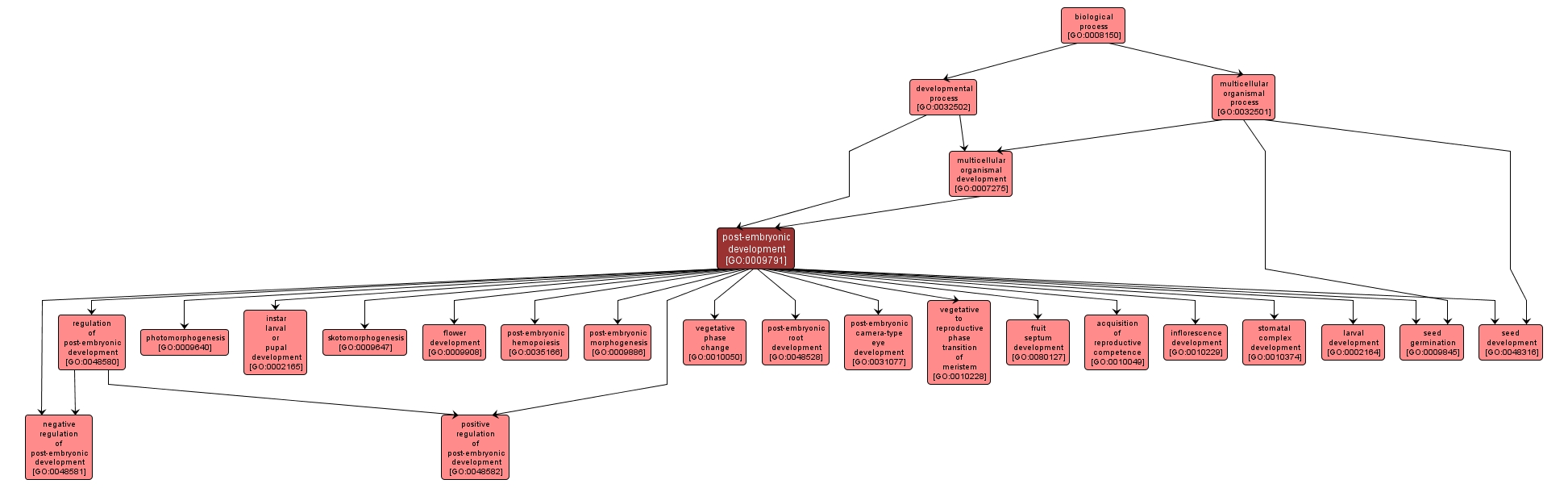 GO:0009791 - post-embryonic development (interactive image map)