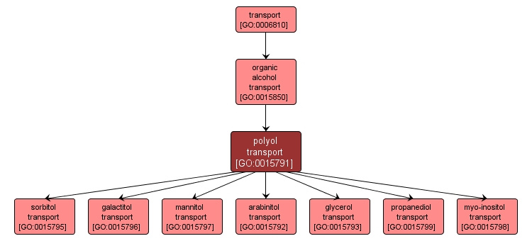 GO:0015791 - polyol transport (interactive image map)