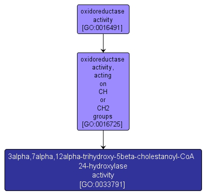 GO:0033791 - 3alpha,7alpha,12alpha-trihydroxy-5beta-cholestanoyl-CoA 24-hydroxylase activity (interactive image map)