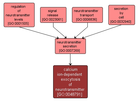 GO:0048791 - calcium ion-dependent exocytosis of neurotransmitter (interactive image map)