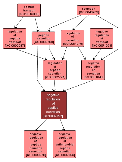 GO:0002792 - negative regulation of peptide secretion (interactive image map)