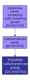 GO:0004792 - thiosulfate sulfurtransferase activity (interactive image map)