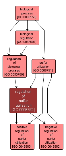 GO:0006792 - regulation of sulfur utilization (interactive image map)