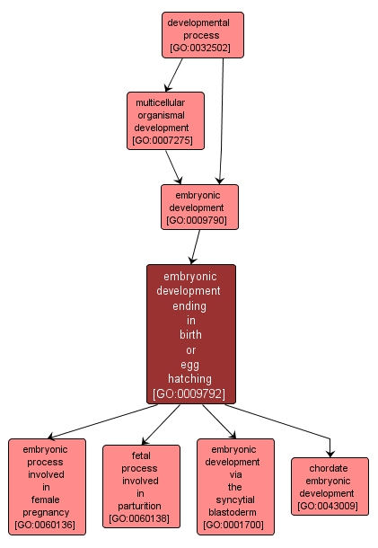 GO:0009792 - embryonic development ending in birth or egg hatching (interactive image map)