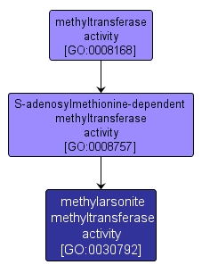 GO:0030792 - methylarsonite methyltransferase activity (interactive image map)