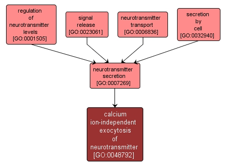 GO:0048792 - calcium ion-independent exocytosis of neurotransmitter (interactive image map)