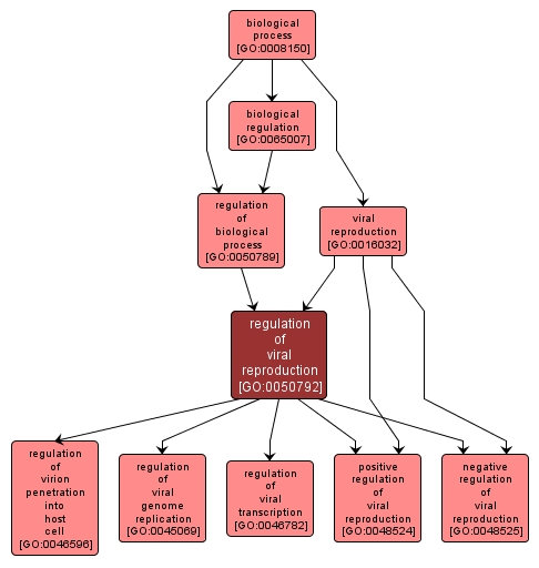 GO:0050792 - regulation of viral reproduction (interactive image map)