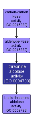 GO:0004793 - threonine aldolase activity (interactive image map)