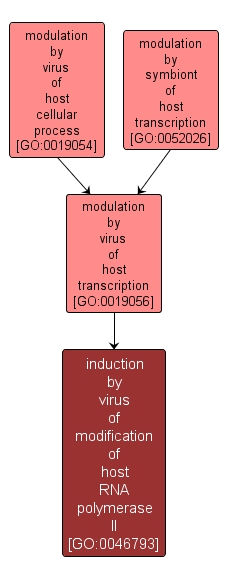 GO:0046793 - induction by virus of modification of host RNA polymerase II (interactive image map)