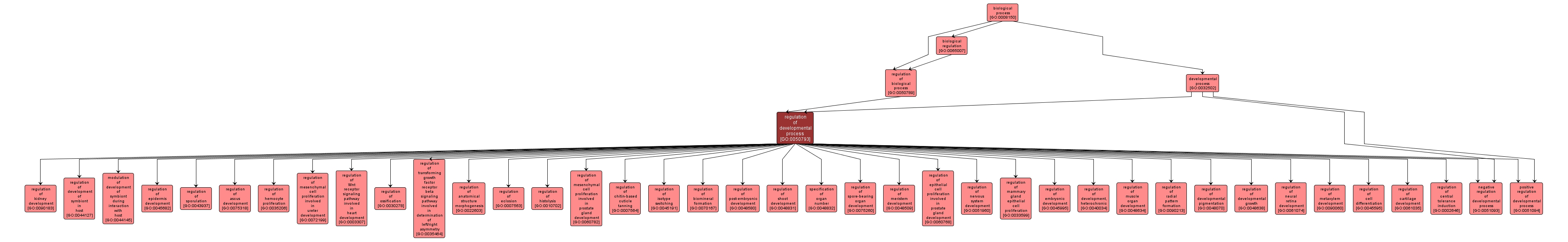 GO:0050793 - regulation of developmental process (interactive image map)