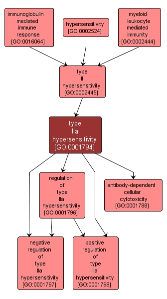 GO:0001794 - type IIa hypersensitivity (interactive image map)