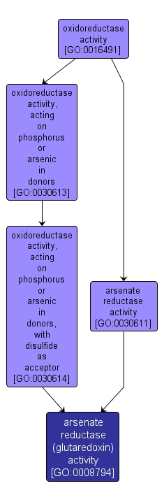 GO:0008794 - arsenate reductase (glutaredoxin) activity (interactive image map)