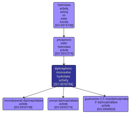 GO:0016794 - diphosphoric monoester hydrolase activity (interactive image map)