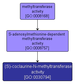 GO:0030794 - (S)-coclaurine-N-methyltransferase activity (interactive image map)