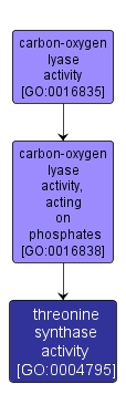 GO:0004795 - threonine synthase activity (interactive image map)